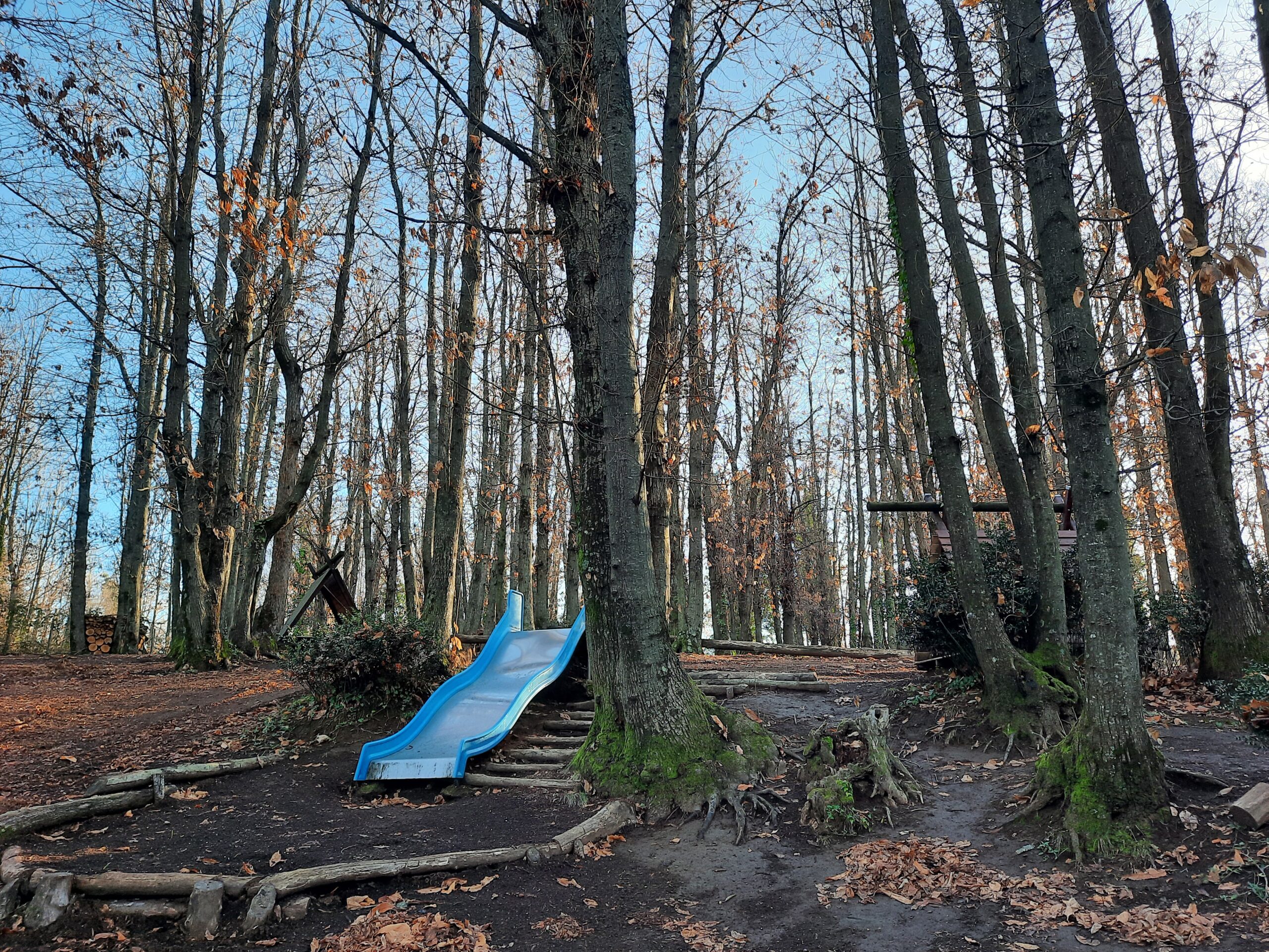 GIOCHIAMO NEL NOSTRO BOSCO SEMPRE ANCHE IN INVERNO