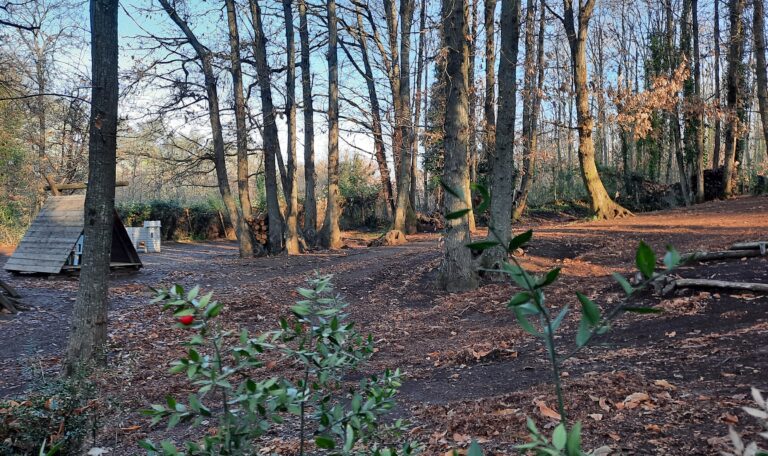 IL FASCINO DEL BOSCO IN INVERNO
